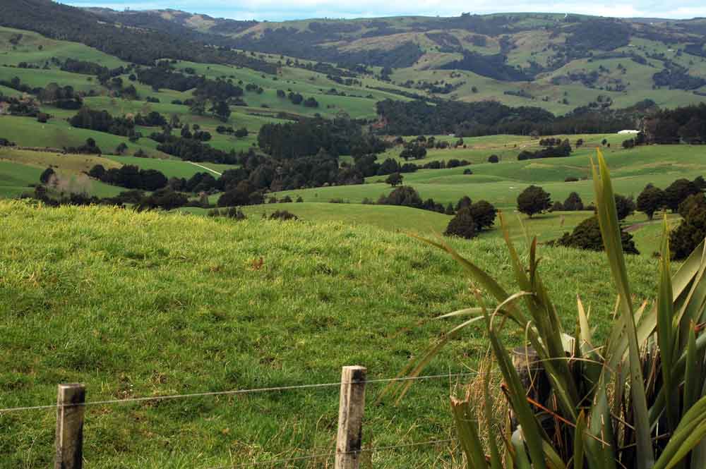95 - Nueva Zelanda, paisaje